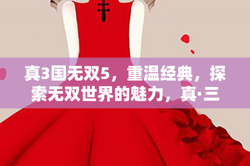 真3国无双5，重温经典，探索无双世界的魅力，真·三国无双5，重温经典，探索无双世界的魅力