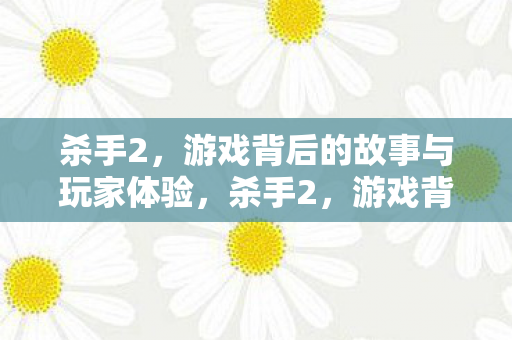 杀手2，游戏背后的故事与玩家体验，杀手2，游戏背后的故事与玩家体验揭秘