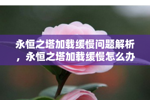 永恒之塔加载缓慢问题解析,永恒之塔加载缓慢怎么办?解析问题根源与解决方案 永恒之塔加载缓慢问题解析,永恒之塔加载缓慢怎么办?解析问题根源与解决方案