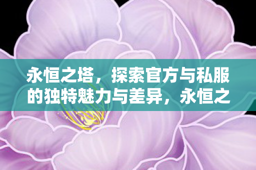 探索官方与私服的独特魅力与差异图片