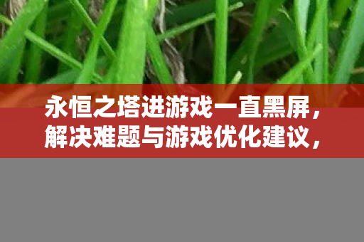 永恒之塔黑屏问题解决方案及游戏优化建议图片