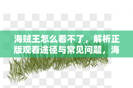 海贼王怎么看不了，解析正版观看途径与常见问题，海贼王正版观看途径及常见问题解析