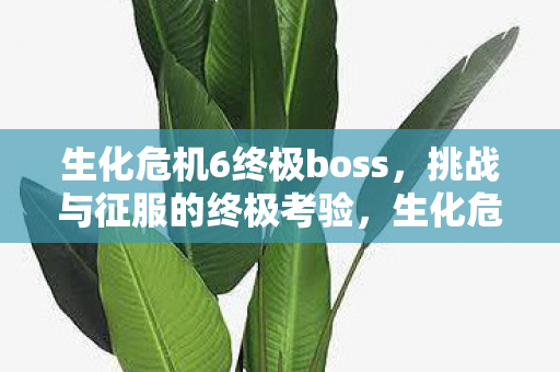 生化危机6终极boss,挑战与征服的终极考验,生化危机6终极Boss,挑战与征服的终极考验 生化危机6终极boss,挑战与征服的终极考验,生化危机6终极Boss,挑战与征服的终极考验