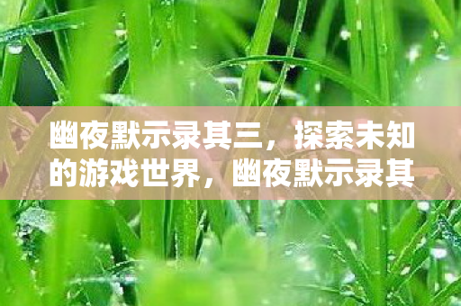幽夜默示录其三，探索未知的游戏世界，幽夜默示录其三，探索未知游戏世界的奇妙旅程
