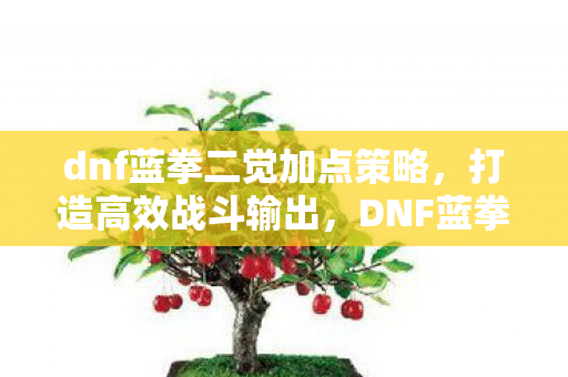 dnf蓝拳二觉加点策略，打造高效战斗输出，DNF蓝拳二觉加点攻略，打造高效战斗输出
