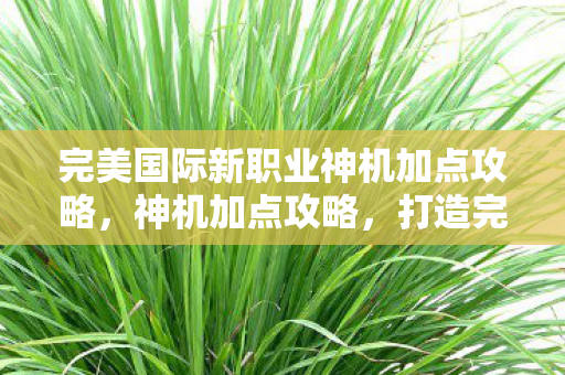 完美国际新职业神机加点攻略，神机加点攻略，打造完美国际新职业