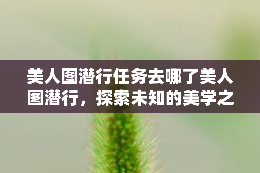 美人图潜行任务去哪了美人图潜行，探索未知的美学之旅，探索未知美学，美人图潜行任务揭秘