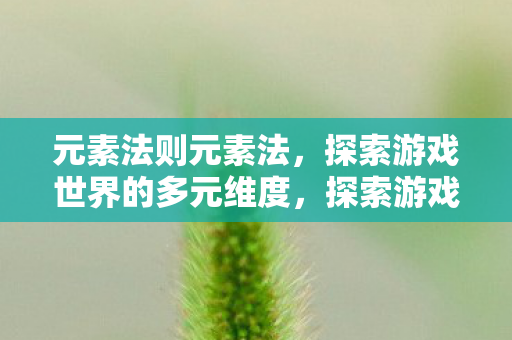 元素法则元素法，探索游戏世界的多元维度，探索游戏世界的多元维度，元素法则