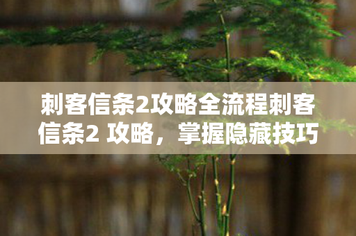 刺客信条2攻略全流程刺客信条2 攻略，掌握隐藏技巧，提升游戏体验，刺客信条2全流程攻略，掌握隐藏技巧，提升游戏体验