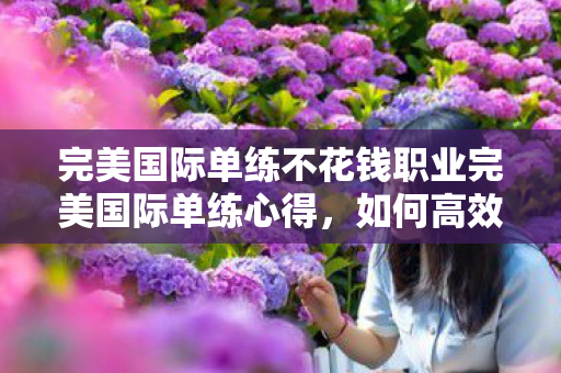 完美国际单练不花钱职业完美国际单练心得,如何高效提升角色实力,完美国际单练心得,不花钱也能高效提升角色实力 完美国际单练不花钱职业完美国际单练心得,如何高效提升角色实力,完美国际单练心得,不花钱也能高效提升角色实力