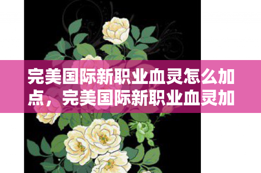 完美国际新职业血灵怎么加点图片