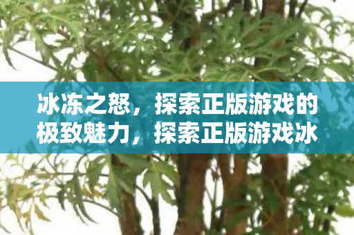 冰冻之怒，探索正版游戏的极致魅力，探索正版游戏冰冻之怒的极致魅力