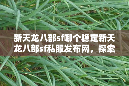 新天龙八部sf哪个稳定新天龙八部sf私服发布网，探索未知的游戏世界，探索稳定新天龙八部SF私服，开启你的游戏冒险之旅
