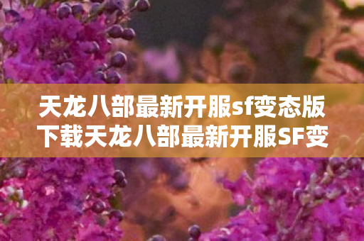 天龙八部最新开服sf变态版下载天龙八部最新开服SF变态，探索无限可能的武侠世界，天龙八部最新开服变态版下载，开启无限武侠之旅