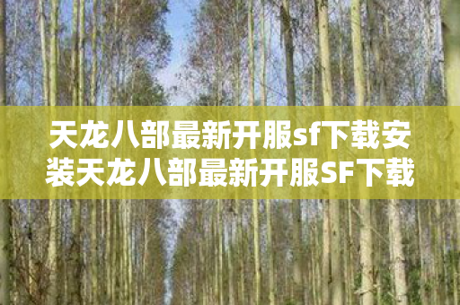 天龙八部最新开服sf下载安装天龙八部最新开服SF下载图片