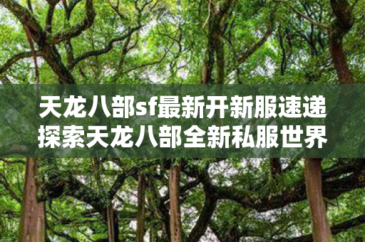 天龙八部sf最新开新服速递探索天龙八部全新私服世界图片