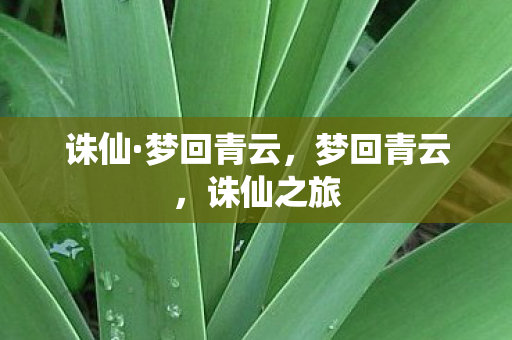 诛仙·梦回青云,梦回青云,诛仙之旅 诛仙·梦回青云,梦回青云,诛仙之旅