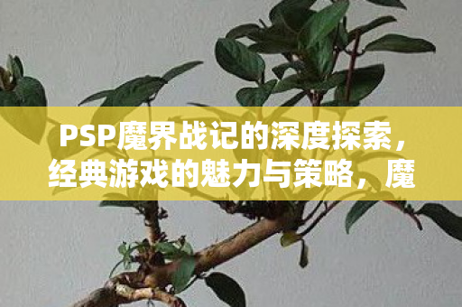 PSP魔界战记的深度探索，经典游戏的魅力与策略，魔界战记深度探索，经典游戏魅力与策略解析