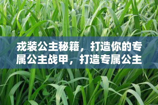 戎装公主秘籍，打造你的专属公主战甲，打造专属公主战甲，戎装公主秘籍