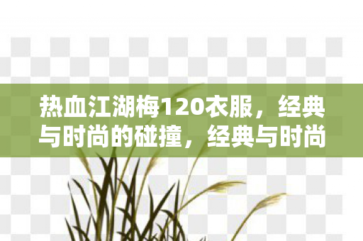 热血江湖梅120衣服，经典与时尚的碰撞，经典与时尚碰撞，热血江湖梅120衣服