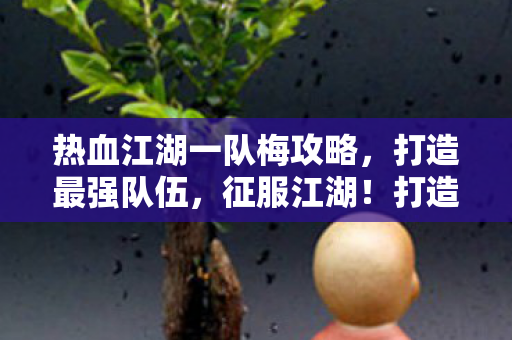 热血江湖一队梅攻略,打造最强队伍,征服江湖!打造最强队伍,征服热血江湖! 热血江湖一队梅攻略,打造最强队伍,征服江湖!打造最强队伍,征服热血江湖!