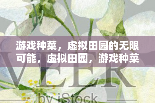 游戏种菜，虚拟田园的无限可能，虚拟田园，游戏种菜，探索无限可能