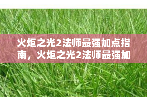 火炬之光2法师最强加点指南，火炬之光2法师最强加点攻略，打造无敌法师！