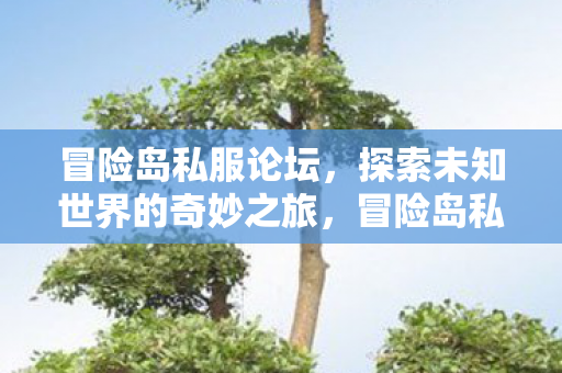 冒险岛私服论坛，探索未知世界的奇妙之旅，冒险岛私服论坛，探索未知世界的奇妙之旅