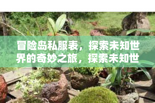 冒险岛私服表，探索未知世界的奇妙之旅，探索未知世界的奇妙之旅，冒险岛私服表