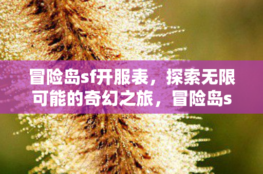冒险岛sf开服表，探索无限可能的奇幻之旅，冒险岛sf开服表，开启奇幻之旅，探索无限可能