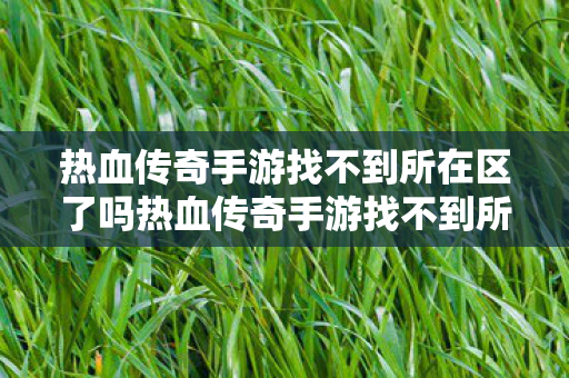 热血传奇手游找不到所在区了吗热血传奇手游找不到所在区了图片