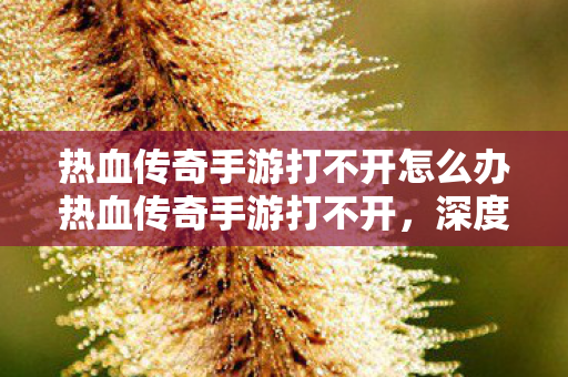热血传奇手游打不开怎么办热血传奇手游打不开图片