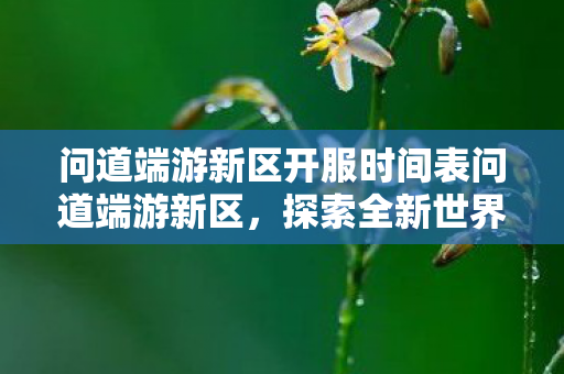 问道端游新区开服时间表问道端游新区，探索全新世界的奇妙之旅，问道端游新区探索之旅，最新开服时间表揭晓