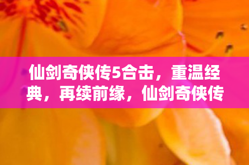 仙剑奇侠传5合击版图片