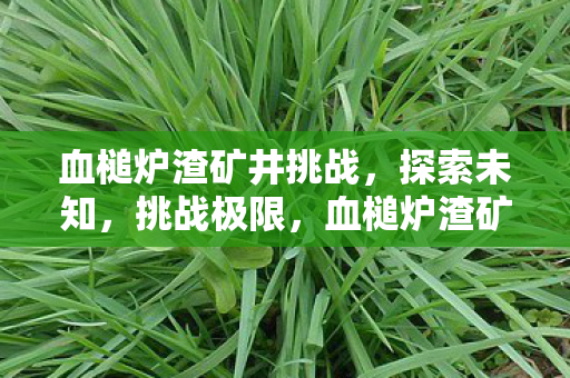血槌炉渣矿井挑战，探索未知，挑战极限，血槌炉渣矿井，挑战未知，极限探索