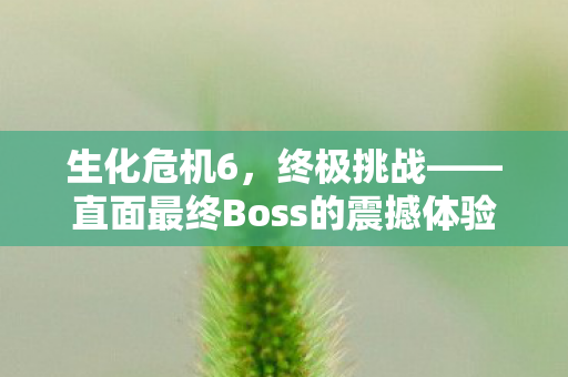 直面最终Boss的震撼体验图片