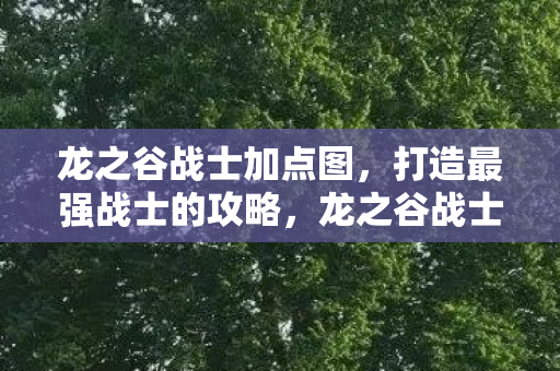 龙之谷战士加点图，打造最强战士的攻略，龙之谷战士加点攻略，打造最强战士的实战指南