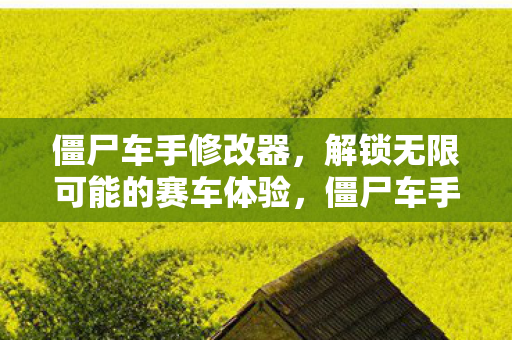 僵尸车手修改器，解锁无限可能的赛车体验，僵尸车手修改器，解锁无限可能的赛车体验