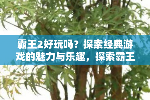 霸王2好玩吗？探索经典游戏的魅力与乐趣，探索霸王2的经典魅力与游戏乐趣