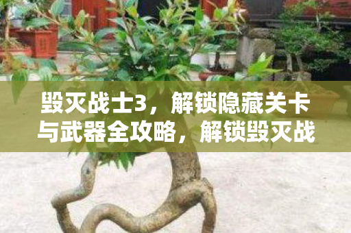 毁灭战士3,解锁隐藏关卡与武器全攻略,解锁毁灭战士3隐藏关卡与武器全攻略 毁灭战士3,解锁隐藏关卡与武器全攻略,解锁毁灭战士3隐藏关卡与武器全攻略