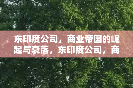 东印度公司,商业帝国的崛起与衰落,东印度公司,商业帝国的兴衰沉浮 东印度公司,商业帝国的崛起与衰落,东印度公司,商业帝国的兴衰沉浮