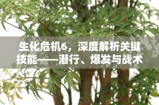 生化危机6,深度解析关键技能——潜行、爆发与战术布局,生化危机6关键技能深度解析,潜行、爆发与战术布局 生化危机6,深度解析关键技能——潜行、爆发与战术布局,生化危机6关键技能深度解析,潜行、爆发与战术布局