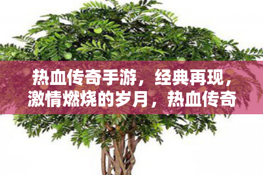 热血传奇手游，经典再现，激情燃烧的岁月，热血传奇手游，经典再现，重温激情燃烧的岁月
