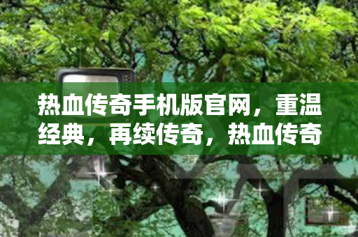 热血传奇手机版官网图片
