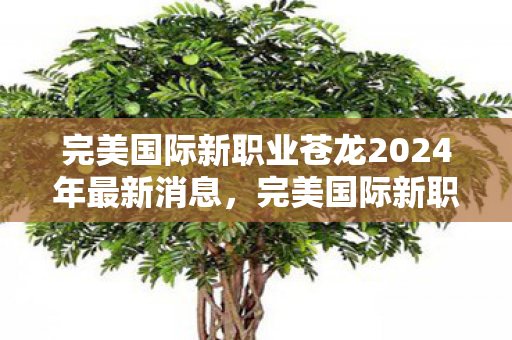完美国际新职业苍龙2024年最新消息，完美国际新职业苍龙2024年最新动态揭晓