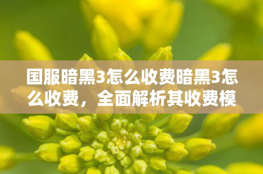 国服暗黑3怎么收费暗黑3怎么收费,全面解析其收费模式与玩家体验,暗黑破坏神3国服收费模式全面解析,玩家体验与收费细节 国服暗黑3怎么收费暗黑3怎么收费,全面解析其收费模式与玩家体验,暗黑破坏神3国服收费模式全面解析,玩家体验与收费细节