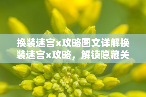 换装迷宫x攻略图文详解换装迷宫x攻略,解锁隐藏关卡与角色换装技巧,换装迷宫x攻略,解锁隐藏关卡与角色换装技巧 换装迷宫x攻略图文详解换装迷宫x攻略,解锁隐藏关卡与角色换装技巧,换装迷宫x攻略,解锁隐藏关卡与角色换装技巧