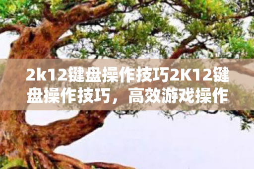 2k12键盘操作技巧2K12键盘操作技巧,高效游戏操作指南,2K12键盘操作技巧,高效游戏操作指南 2k12键盘操作技巧2K12键盘操作技巧,高效游戏操作指南,2K12键盘操作技巧,高效游戏操作指南