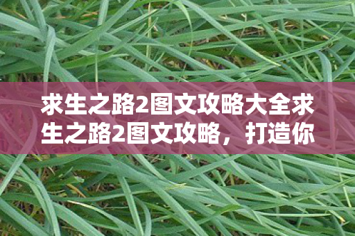 求生之路2图文攻略大全求生之路2图文攻略,打造你的生存之旅,求生之路2,打造你的生存之旅图文攻略 求生之路2图文攻略大全求生之路2图文攻略,打造你的生存之旅,求生之路2,打造你的生存之旅图文攻略
