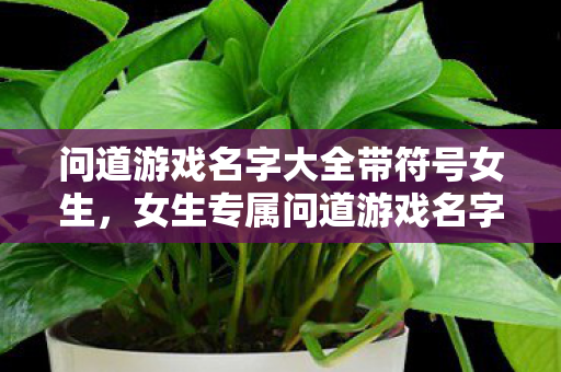 女生专属问道游戏名字大全带符号图片